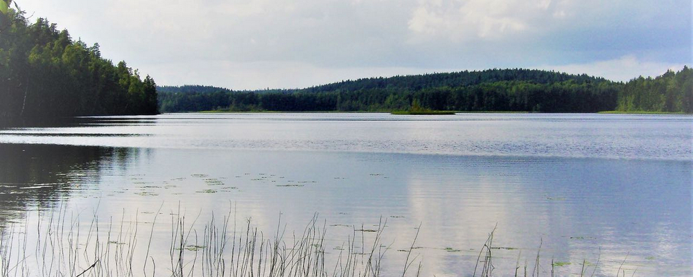 Озеро Терваярви. Лахденпохский район