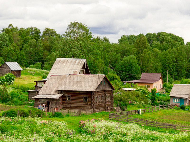 Деревня Коккойла, Пряжинский район, Республика Карелия