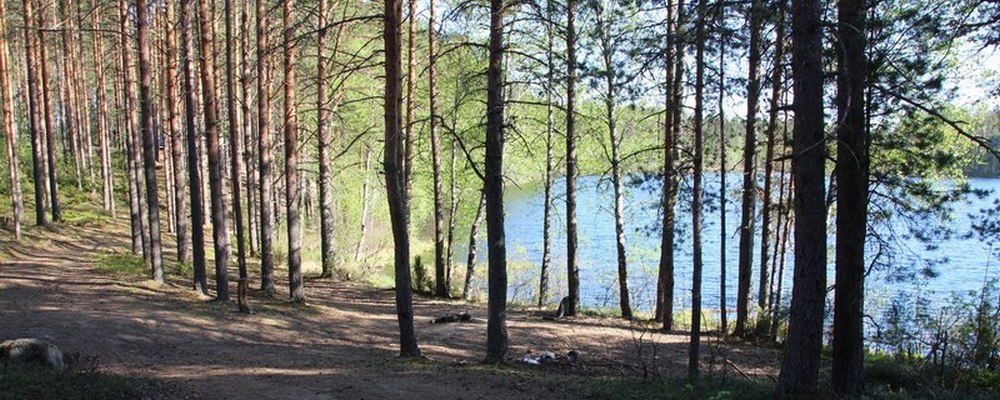 Озеро Ламберо, Олонецкий район