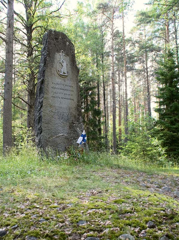 Поселок Салми