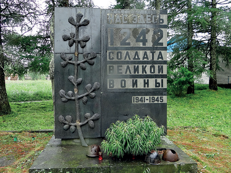 Памятник в селе Видлицы