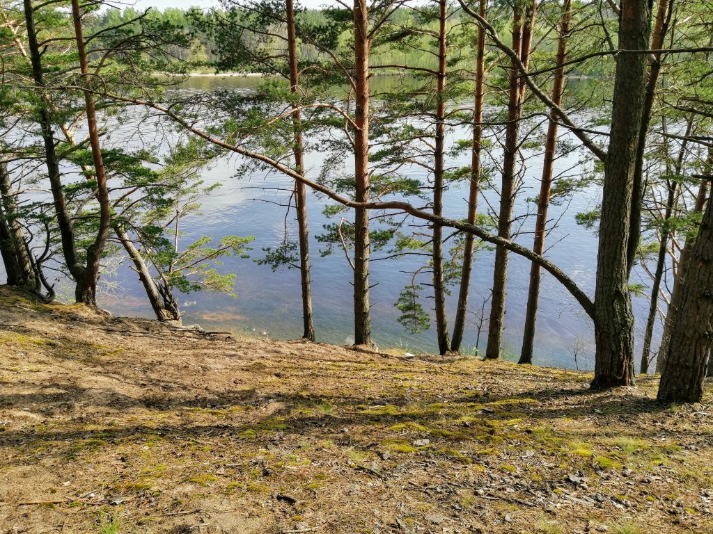 Укрепрайон Тайпеле (река Бурная). 20.05.2021