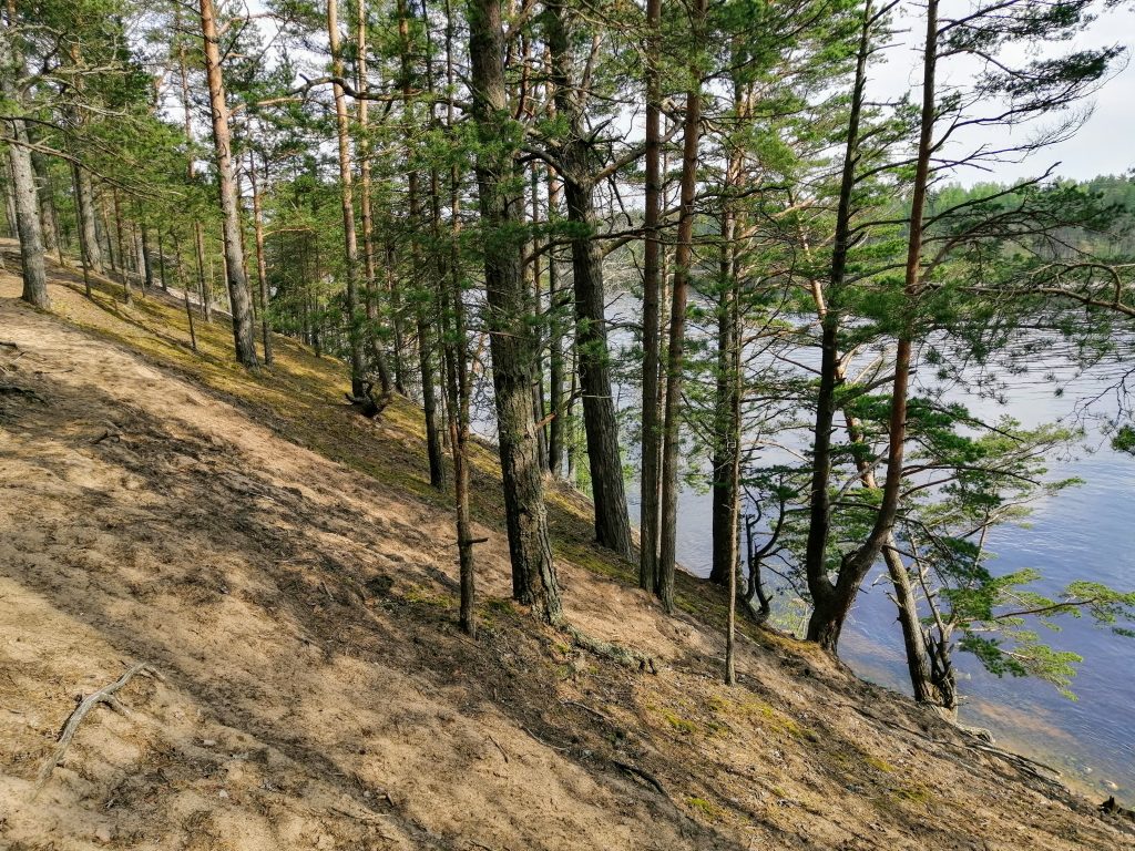 Укрепрайон Тайпеле (река Бурная). 20.05.2021