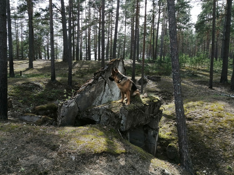 Укрепрайон Тайпеле (река Бурная). 20.05.2021