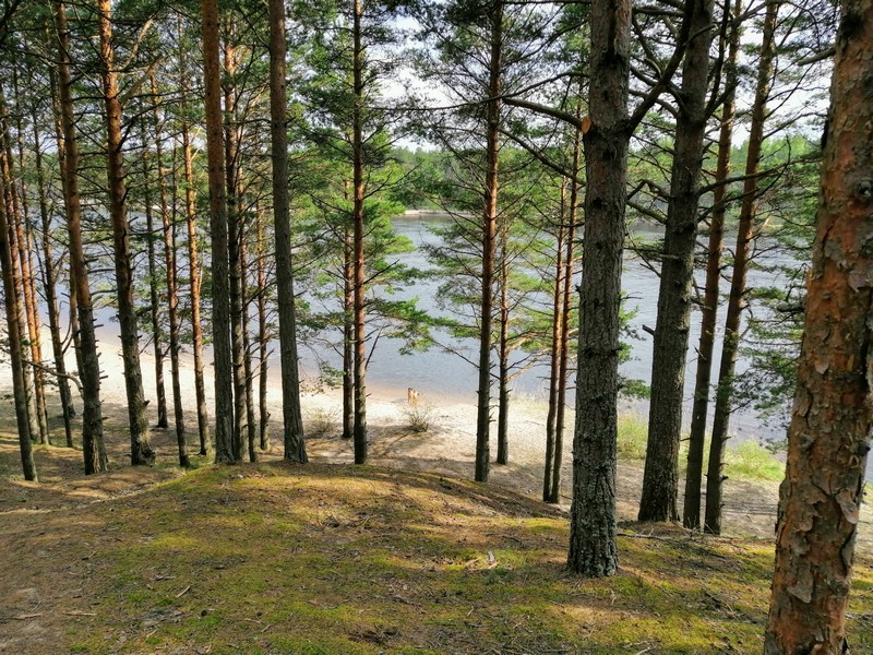 Укрепрайон Тайпеле (река Бурная). 20.05.2021