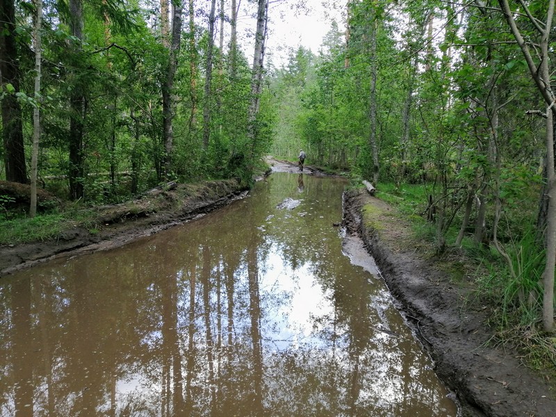 Дорога на Воробьево озеро