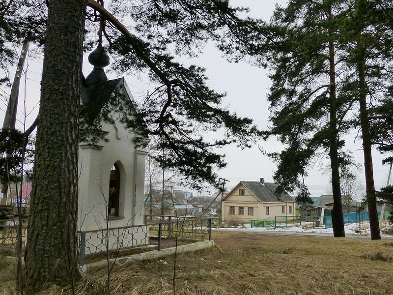 Деревня Царевичи