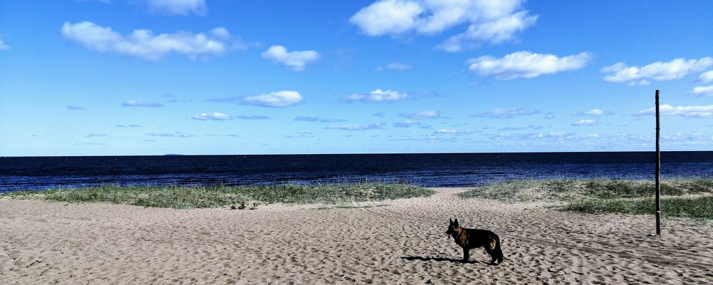 Прогулка на финский пляж