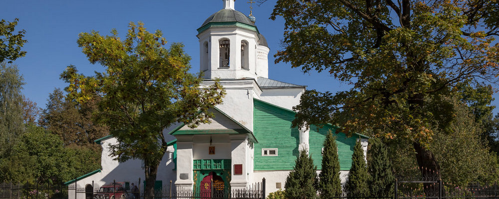 Церковь Ильи Мокрого с Луга, Псков