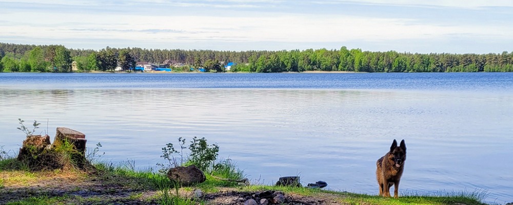 Снетковское озеро